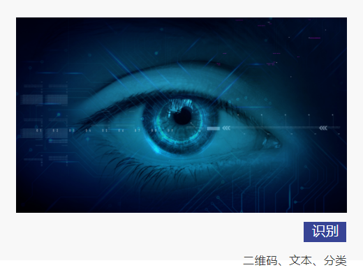 技术拓展贸易天堑 伟德国际1946bvAI视觉算法平台惊艳亮相